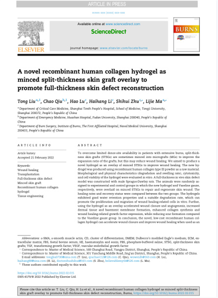 2022 动物研究，重组胶原用于微粒皮移植覆盖